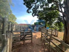 Fazenda / Sítio / Chácara com 3 Quartos à venda, 230m² no Zona Rural, São Sebastião do Oeste - Foto 48
