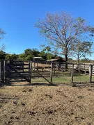 Fazenda / Sítio / Chácara com 3 Quartos à venda, 732000m² no Zona Rural, Jaraguá - Foto 50