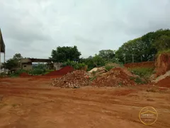 Terreno / Lote / Condomínio à venda, 1800m² no Distrito Bacaetava, Iperó - Foto 10