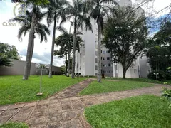 Apartamento com 3 Quartos à venda, 70m² no Claudia, Londrina - Foto 10