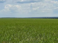 Fazenda / Sítio / Chácara à venda, 3584m² no Centro, Presidente Kennedy - Foto 3