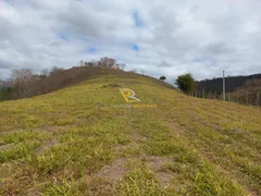 Terreno / Lote / Condomínio à venda, 5000m² no Centro, Paraíba do Sul - Foto 7