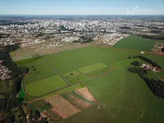 Terreno / Lote Comercial à venda, 306m² no Canadá, Cascavel - Foto 20