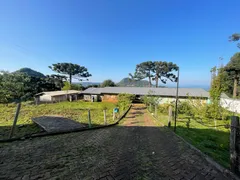 Fazenda / Sítio / Chácara com 1 Quarto à venda, 60000m² no Serra Grande, Gramado - Foto 5