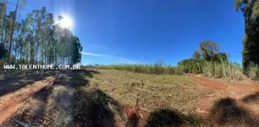 Terreno / Lote / Condomínio à venda no Yolanda, Foz do Iguaçu - Foto 4