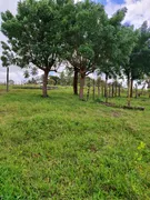 Fazenda / Sítio / Chácara com 3 Quartos à venda, 5000m² no Zona Rural, Monte Alegre - Foto 20