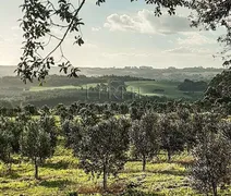 Terreno / Lote / Condomínio à venda, 400000m² no , Encruzilhada do Sul - Foto 10