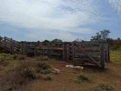 Fazenda / Sítio / Chácara com 1 Quarto à venda, 61000000m² no Vale do Sol, Campo Verde - Foto 14