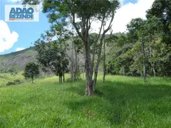 Fazenda / Sítio / Chácara com 4 Quartos à venda, 1150000m² no Corrego Sujo, Teresópolis - Foto 23