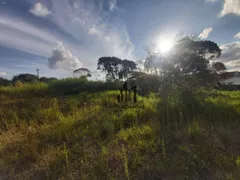 Terreno / Lote / Condomínio à venda, 600m² no Jardim das Américas, Curitiba - Foto 12