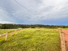Fazenda / Sítio / Chácara com 4 Quartos à venda, 24200m² no , Mandaguaçu - Foto 6