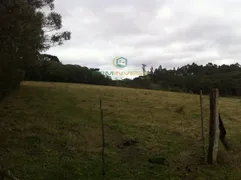 Fazenda / Sítio / Chácara com 4 Quartos à venda, 265000m² no Formigueiro, Araucária - Foto 10