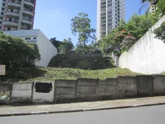 Terreno / Lote / Condomínio à venda, 2489m² no Vila Suzana, São Paulo - Foto 3