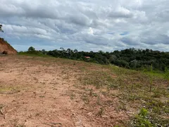 Fazenda / Sítio / Chácara com 3 Quartos à venda, 5000m² no Zona Rural, Marechal Floriano - Foto 13