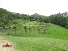 Fazenda / Sítio / Chácara com 4 Quartos à venda, 183000m² no Zona Rural, Rio Bonito - Foto 6