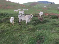 Fazenda / Sítio / Chácara com 3 Quartos à venda, 300m² no Volta do Piao, Teresópolis - Foto 7