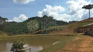 Fazenda / Sítio / Chácara com 2 Quartos à venda, 80m² no Zona Rural, Campo Alegre - Foto 5