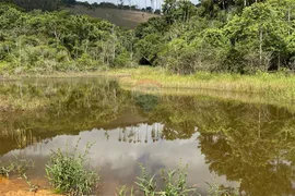 Fazenda / Sítio / Chácara com 2 Quartos à venda, 150000m² no Salvaterra, Juiz de Fora - Foto 18