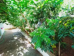 Casa com 3 Quartos à venda, 130m² no Jardim Auroras, Uberlândia - Foto 14