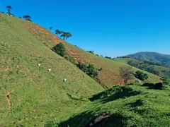 Fazenda / Sítio / Chácara com 3 Quartos à venda, 484000m² no São Francisco Xavier, São José dos Campos - Foto 5