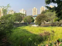 Terreno / Lote Comercial para alugar, 269m² no Jardim Nova Europa, Campinas - Foto 3