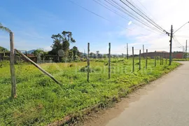 Terreno / Lote / Condomínio à venda, 800m² no Cidade Balneária Nova Peruíbe, Peruíbe - Foto 1