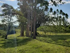 Fazenda / Sítio / Chácara com 3 Quartos à venda, 150m² no Zona Rural, Quadra - Foto 20