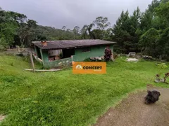 Fazenda / Sítio / Chácara com 4 Quartos à venda, 9000m² no Estância Piratininga, Suzano - Foto 7