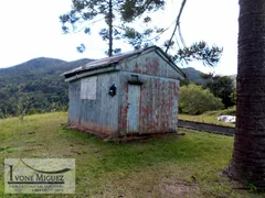 Casa Comercial com 5 Quartos à venda, 28000m² no Palmares, Paty do Alferes - Foto 5