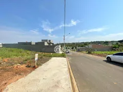 Terreno / Lote / Condomínio à venda, 250m² no Jardim Aranha Oliveira, Santa Bárbara D'Oeste - Foto 4