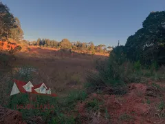 Fazenda / Sítio / Chácara com 1 Quarto à venda, 9700m² no Area Rural de Sao Jose dos Pinhais, São José dos Pinhais - Foto 15