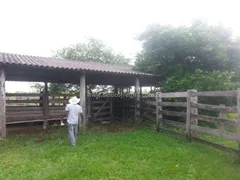 Fazenda / Sítio / Chácara com 1 Quarto à venda, 80000000m² no Zona Rural, Itiquira - Foto 20