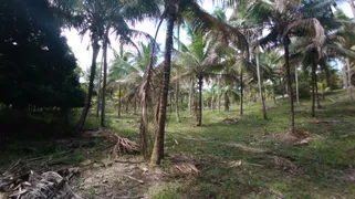 Fazenda / Sítio / Chácara à venda, 50000m² no Zona Rural, Conde - Foto 18