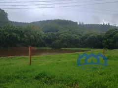Fazenda / Sítio / Chácara com 2 Quartos à venda, 1200000m² no Zona Rural, Piedade - Foto 3