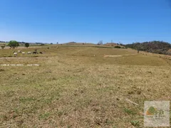 Fazenda / Sítio / Chácara com 4 Quartos à venda, 193600m² no Maristela, Laranjal Paulista - Foto 14