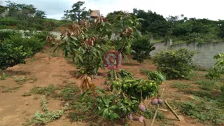 Fazenda / Sítio / Chácara com 3 Quartos à venda, 100m² no Santa Cecília II, São José dos Campos - Foto 7