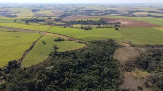 Fazenda / Sítio / Chácara à venda, 484000m² no Zona Rural, Ipeúna - Foto 3