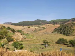 Fazenda / Sítio / Chácara à venda, 1390000m² no Taruacu, São João Nepomuceno - Foto 25