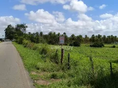 Terreno / Lote / Condomínio à venda, 50000m² no Piau, Tibau do Sul - Foto 1