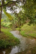 Fazenda / Sítio / Chácara com 4 Quartos à venda, 4200m² no Areias de Cima Guaporanga, Biguaçu - Foto 7