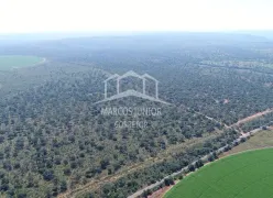 Fazenda / Sítio / Chácara com 2 Quartos à venda, 770m² no Zona Rural, Ibiaí - Foto 1