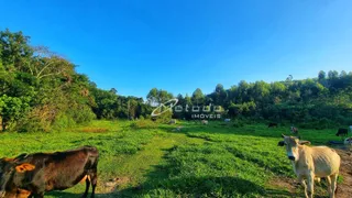 Fazenda / Sítio / Chácara à venda, 20000m² no Itapeti, Guararema - Foto 8