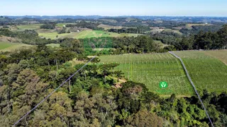 Fazenda / Sítio / Chácara à venda, 95000m² no Zona Rural, Monte Belo do Sul - Foto 15