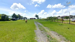Fazenda / Sítio / Chácara com 2 Quartos à venda, 194m² no Faxina, São José dos Pinhais - Foto 14
