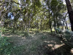 Fazenda / Sítio / Chácara à venda, 10000m² no Saltinho, Campo Alegre - Foto 5