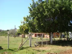 Fazenda / Sítio / Chácara com 4 Quartos à venda, 5972m² no Centro Engenheiro Schmitt, São José do Rio Preto - Foto 35