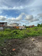 Terreno / Lote / Condomínio à venda, 51013m² no Serrinha, Fortaleza - Foto 6