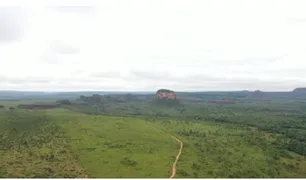 Fazenda / Sítio / Chácara à venda, 1900m² no Centro, Campos Lindos - Foto 7