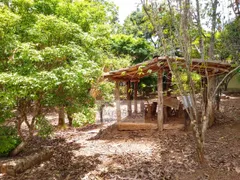 Fazenda / Sítio / Chácara com 4 Quartos à venda, 75000m² no Zona Rural, Bonfinópolis - Foto 21