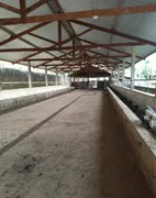Fazenda / Sítio / Chácara com 2 Quartos à venda, 70m² no Zona Rural, Ouro Fino - Foto 6